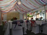 IMG_9496.JPG