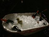 IMG_9567.JPG