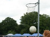 IMG_8449.JPG