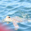 IMG_7702