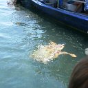 IMG_7708