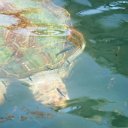 IMG_7712