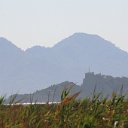 IMG_7746