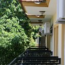IMG_7781