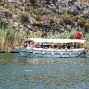 IMG_7822