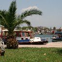 IMG_7831
