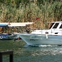 IMG_7832
