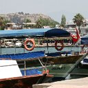 IMG_7833
